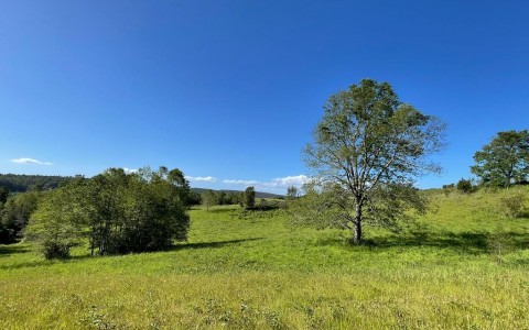 Venta en Fresia | Loteo de 50 parcelas terminadas para venta en 257 | Loteo de 50 parcelas terminadas para venta