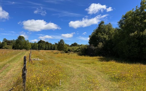 Venta en Puerto Varas | Parcela en Cañitas, sector Rio Frio en 252 | Parcela en Cañitas, sector Rio Frio