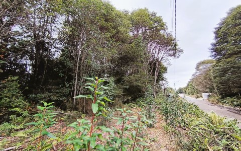 Venta en Puerto Montt | PARCELA EN LOTEO LOS ROBLES , SENDA CENTRAL en 251 | PARCELA EN LOTEO LOS ROBLES , SENDA CENTRAL