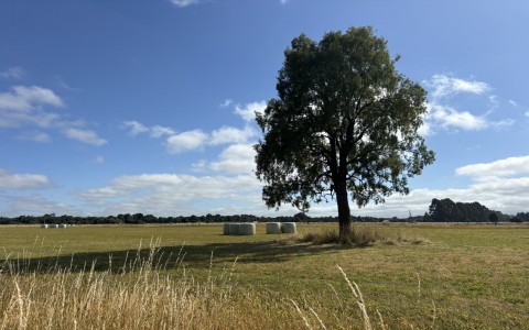 Venta en Puerto Octay | Parcela en venta a 11 minutos de Puerto Octay en 247 | Parcela en venta a 11 minutos de Puerto Octay