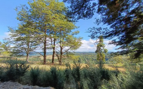 Venta en Puerto Montt | Parcela en venta en Bosques de Chamiza en 251 | Parcela en venta en Bosques de Chamiza