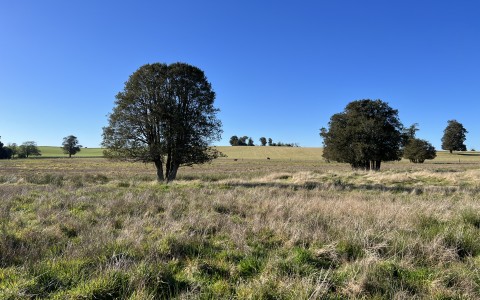 Venta en Puerto Varas | Parcelas agroresidenciales a la venta en Nueva Braunau, Puerto Varas en 252 | Parcelas agroresidenciales a la venta en Nueva Braunau, Puerto Varas