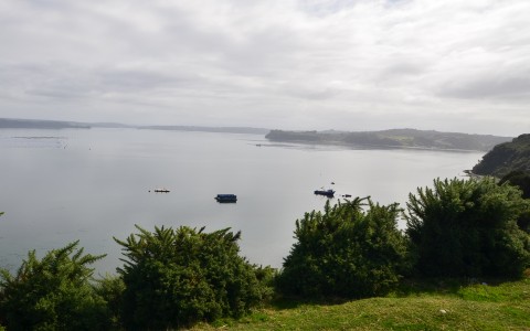 Venta en Puqueldón | Propiedad en venta sector Yaotal, Chiloé en 266 | Propiedad en venta sector Yaotal, Chiloé