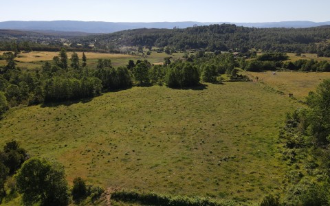 Venta en Fresia | Venta parcelas en Fresia en 257 | Venta parcelas en Fresia